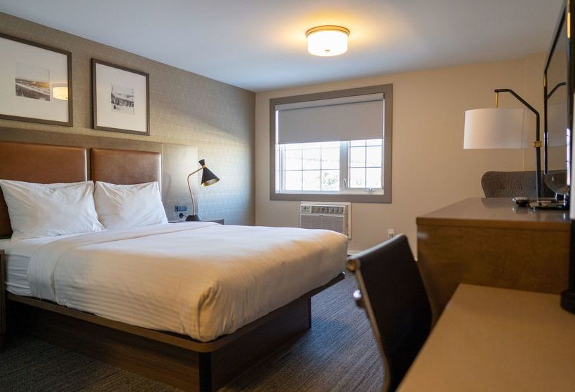 בית מלון כפרי Best Western Gold Rush Inn