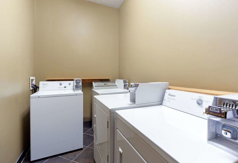 فندق Best Western Grande Prairie