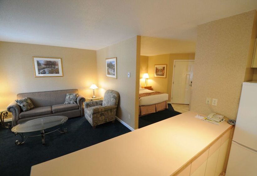 酒店 Best Western Inn At Penticton