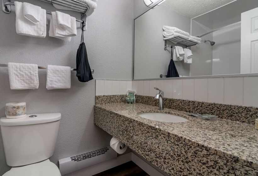 酒店 Best Western Inn At Penticton