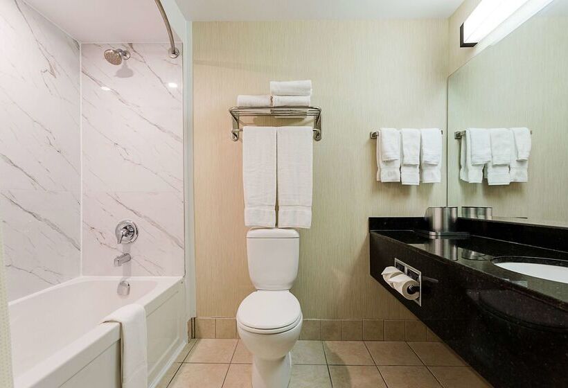 酒店 Best Western Inn On The Bay