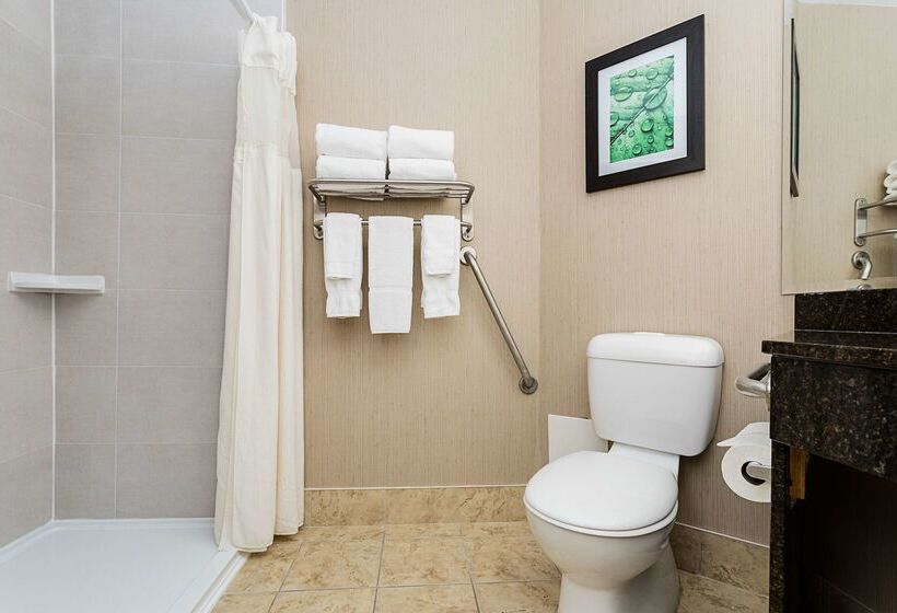 酒店 Best Western Inn On The Bay