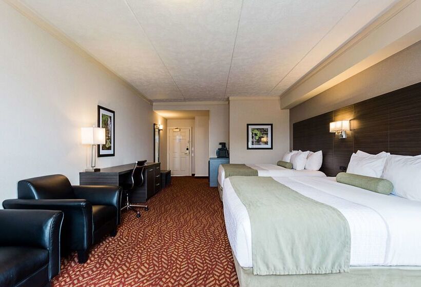 酒店 Best Western Inn On The Bay