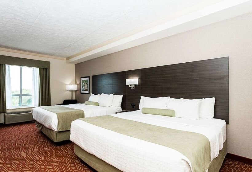 酒店 Best Western Inn On The Bay