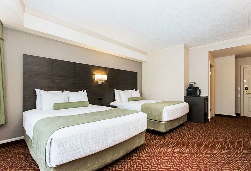 酒店 Best Western Inn On The Bay