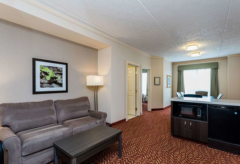 酒店 Best Western Inn On The Bay