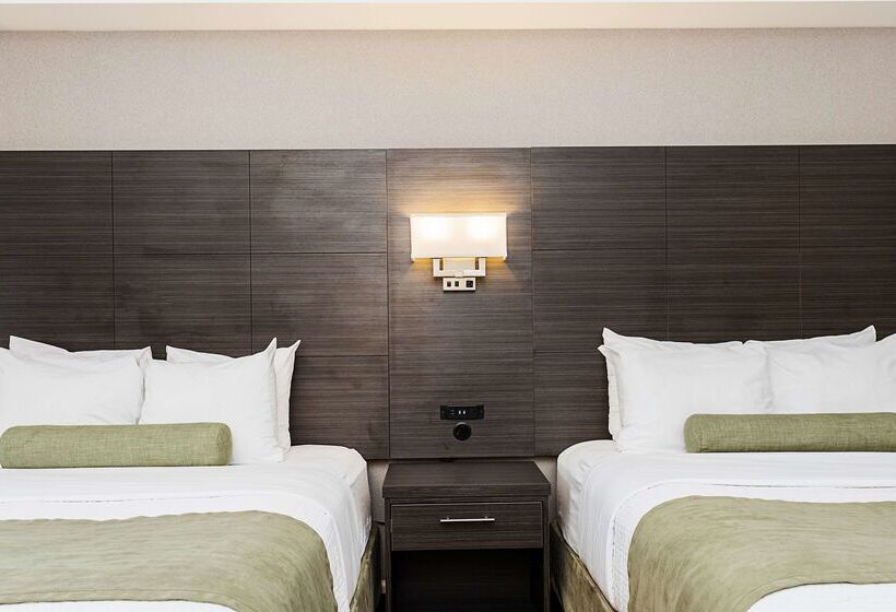 酒店 Best Western Inn On The Bay