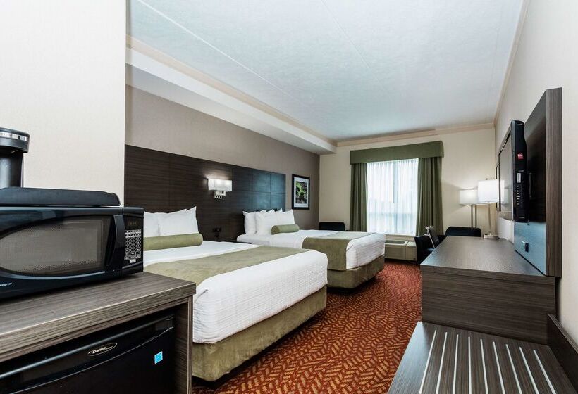 酒店 Best Western Inn On The Bay