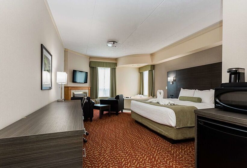 酒店 Best Western Inn On The Bay