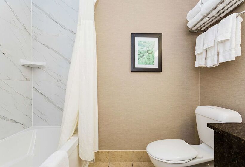 酒店 Best Western Inn On The Bay