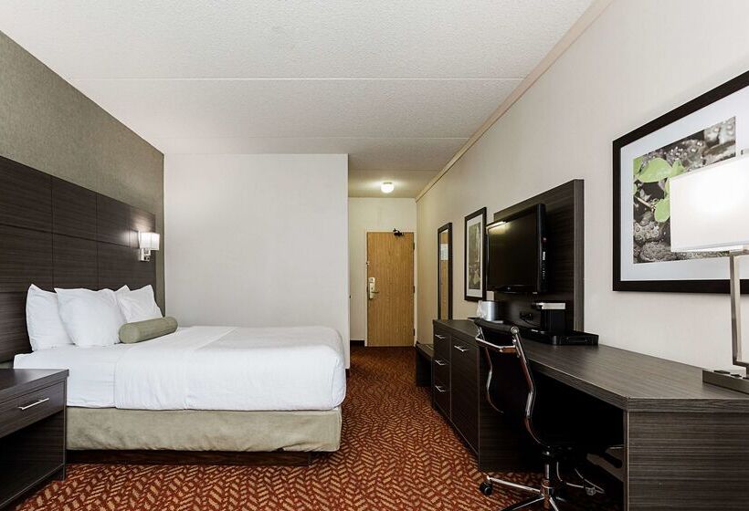 酒店 Best Western Inn On The Bay