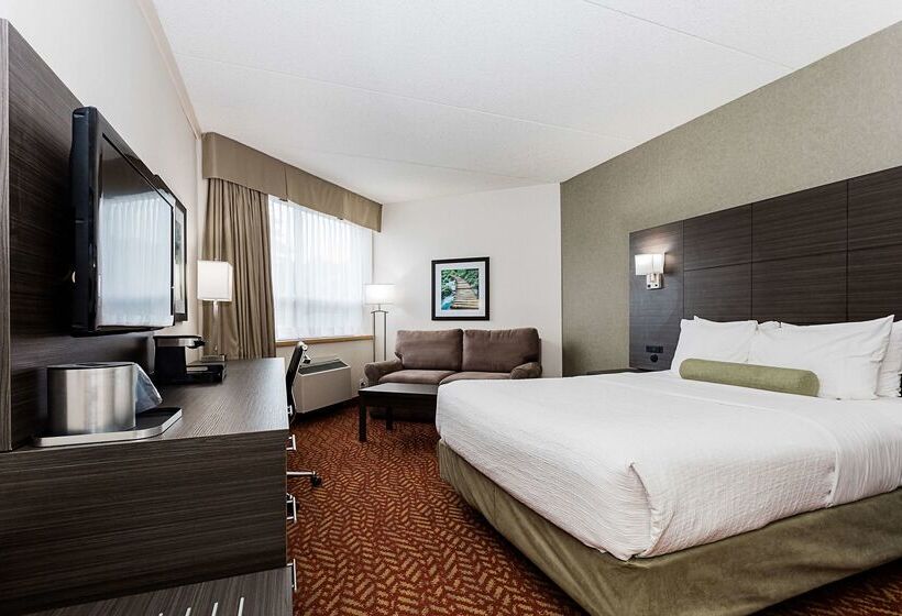 酒店 Best Western Inn On The Bay