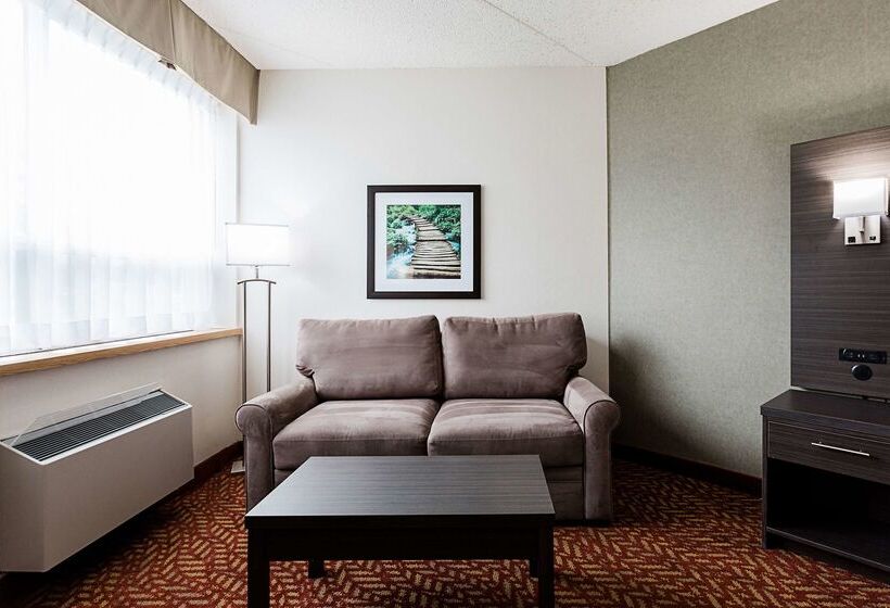 酒店 Best Western Inn On The Bay