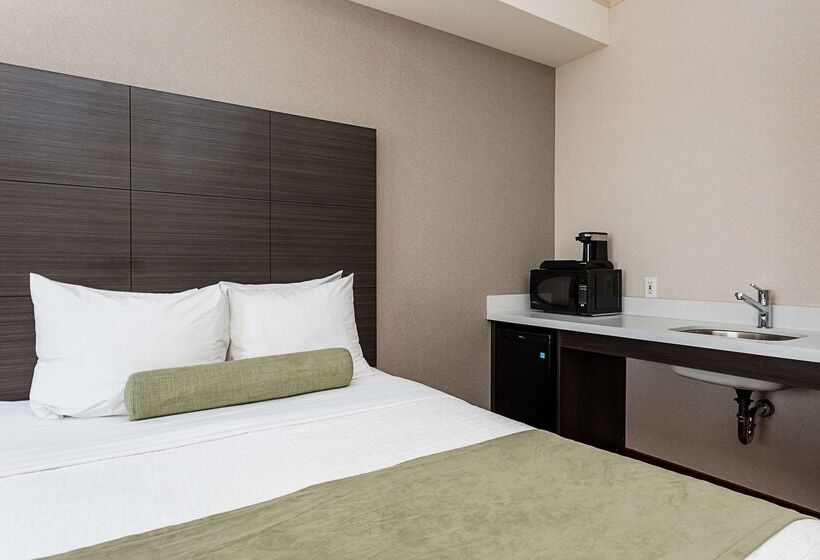 酒店 Best Western Inn On The Bay