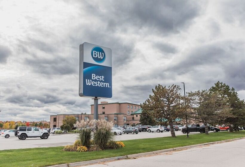 酒店 Best Western Inn On The Bay