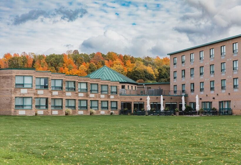 酒店 Best Western Inn On The Bay