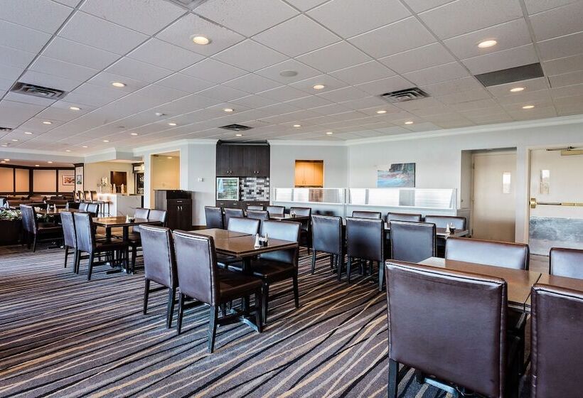 酒店 Best Western Inn On The Bay