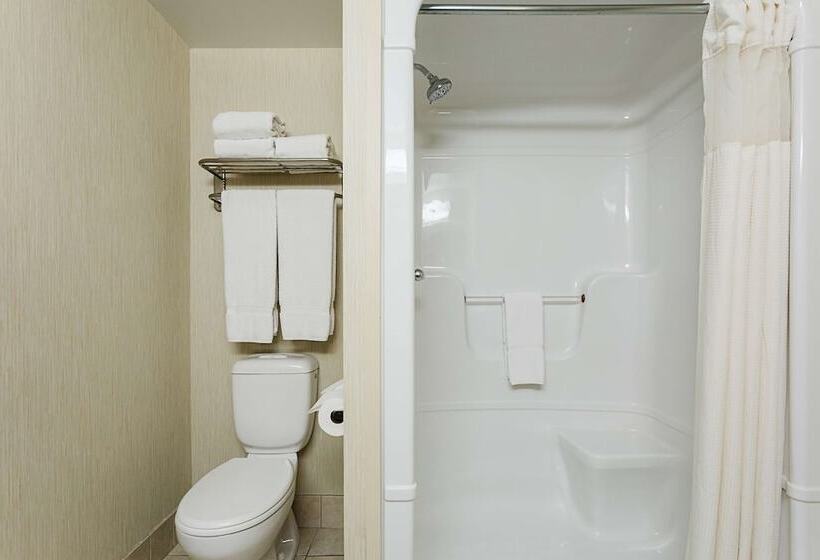 酒店 Best Western Inn On The Bay