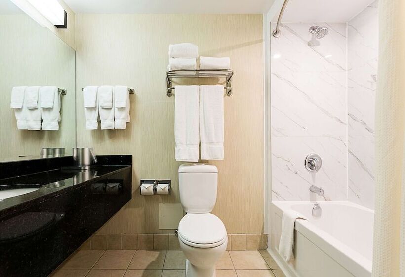 酒店 Best Western Inn On The Bay