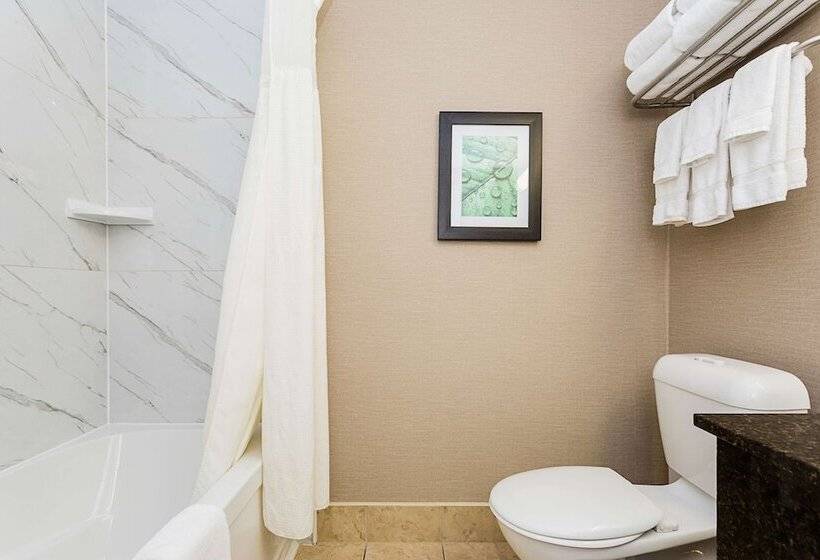 酒店 Best Western Inn On The Bay