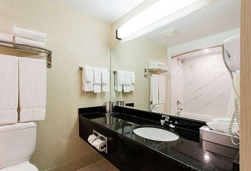 酒店 Best Western Inn On The Bay