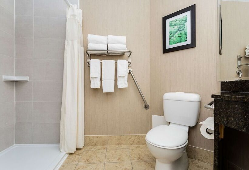 酒店 Best Western Inn On The Bay