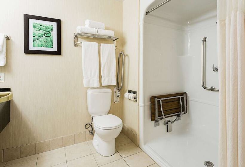 酒店 Best Western Inn On The Bay