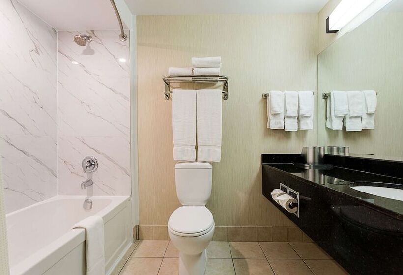 酒店 Best Western Inn On The Bay