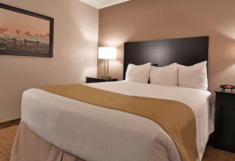 فندق Best Western Pembroke Inn & Conference Centre