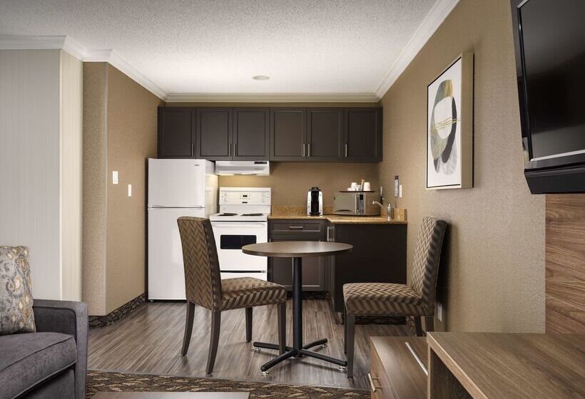 酒店 Best Western Plus Carlton Plaza