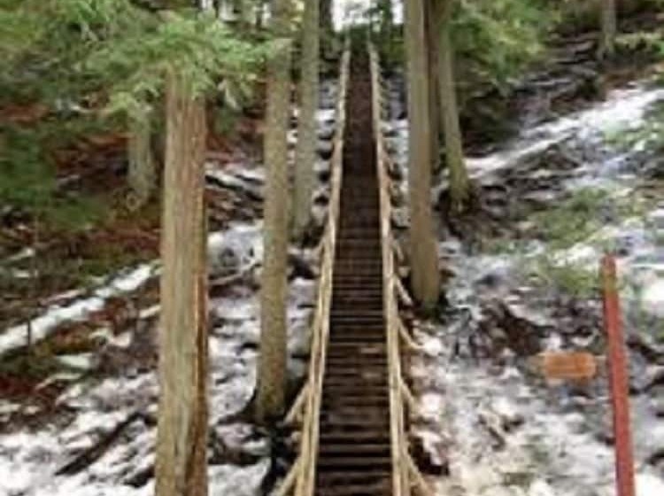 בית מלון כפרי Best Western Glengarry