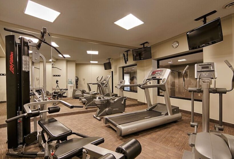 酒店 Best Western Plus Guildwood Inn