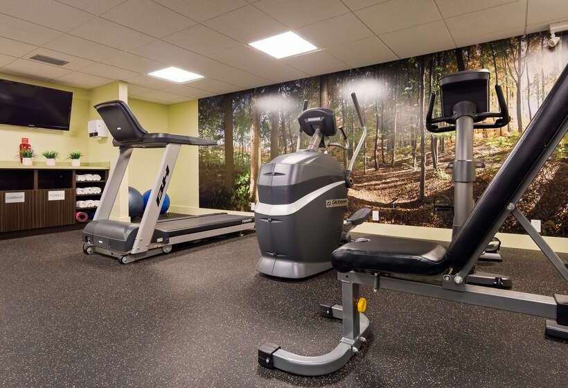 ホテル Best Western Plus Inner Harbour