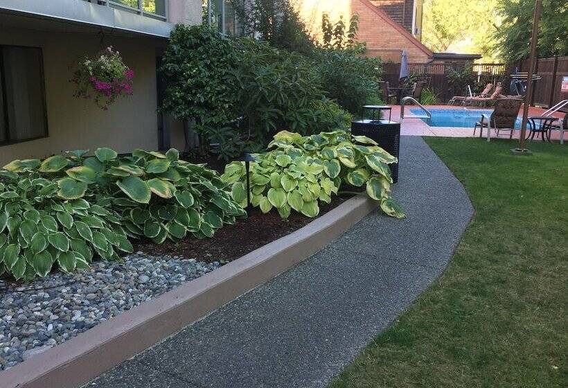 ホテル Best Western Plus Inner Harbour