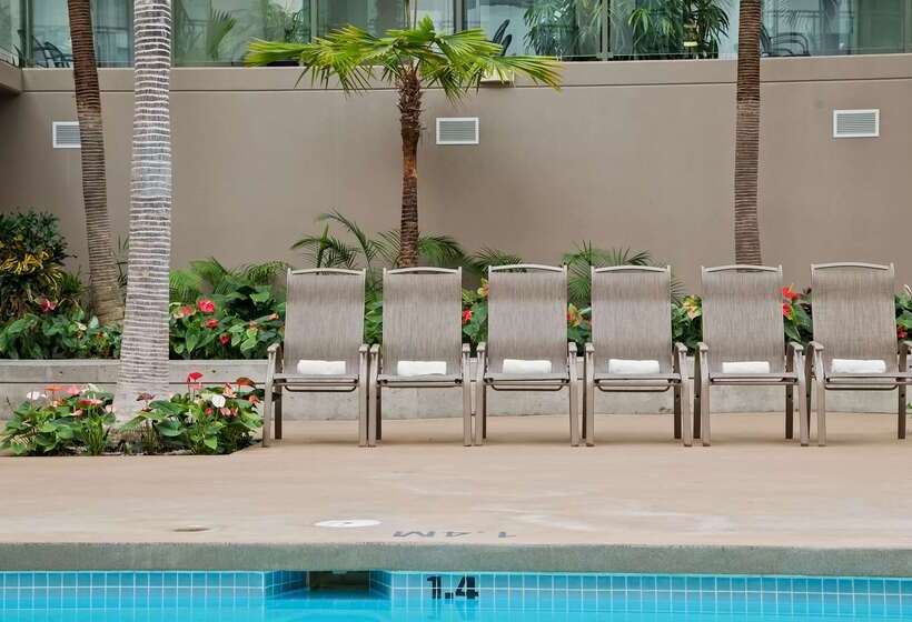 فندق Best Western Plus Lamplighter Inn & Conference Centre