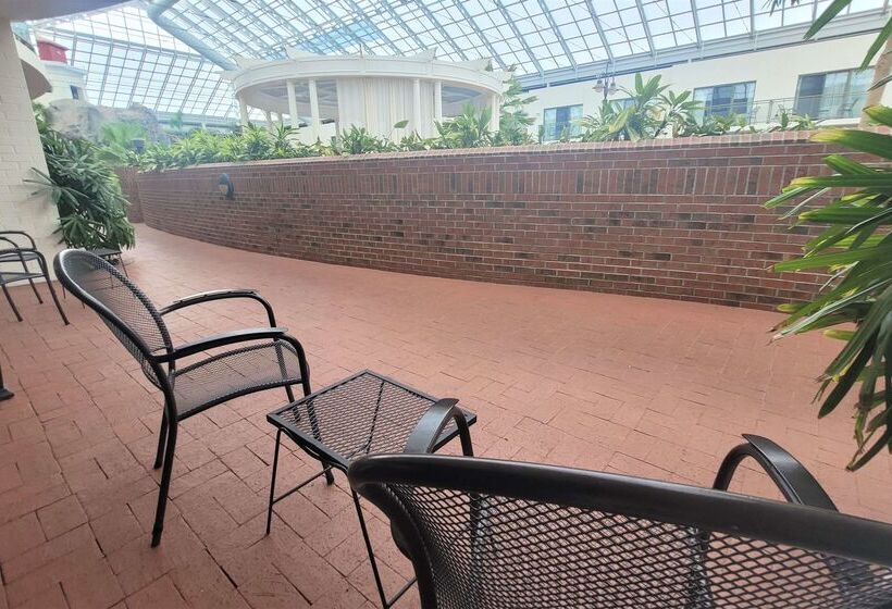 فندق Best Western Plus Lamplighter Inn & Conference Centre