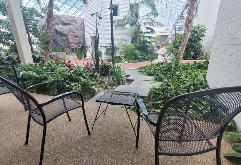 فندق Best Western Plus Lamplighter Inn & Conference Centre