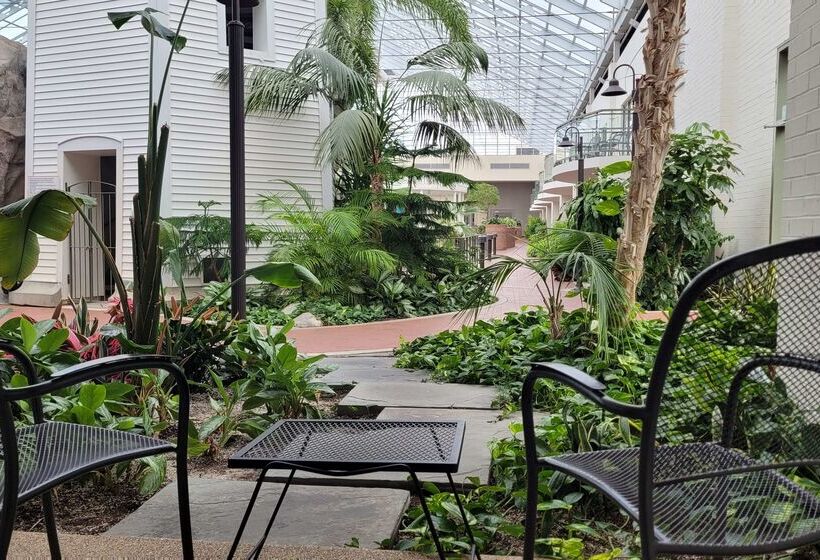 فندق Best Western Plus Lamplighter Inn & Conference Centre