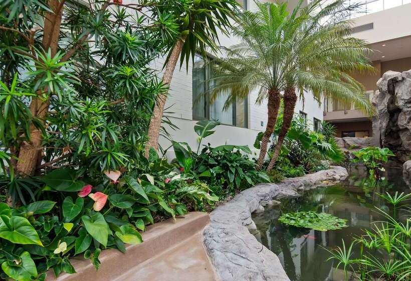 فندق Best Western Plus Lamplighter Inn & Conference Centre