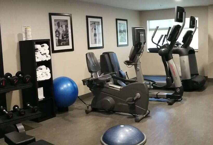 酒店 Best Western Plus Langley Inn
