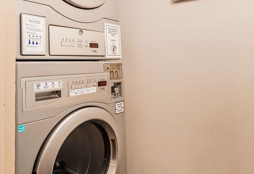 בית מלון כפרי Best Western Plus Ottawa City Centre