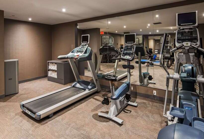 בית מלון כפרי Best Western Plus Ottawa City Centre