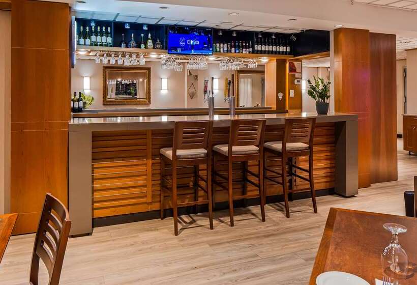 בית מלון כפרי Best Western Plus Ottawa City Centre