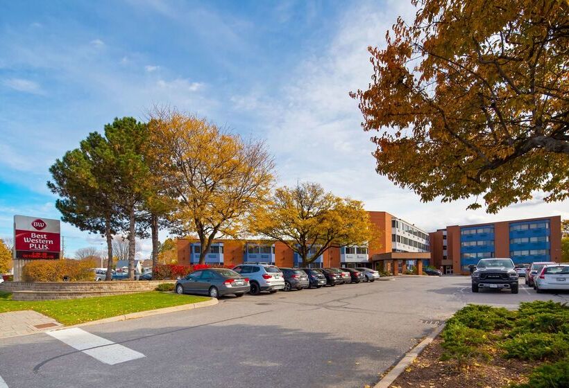 בית מלון כפרי Best Western Plus Ottawa City Centre