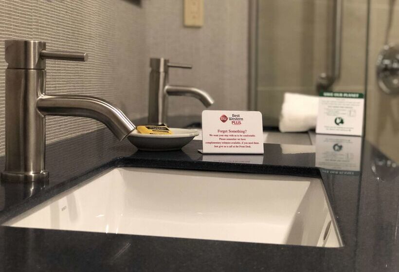 בית מלון כפרי Best Western Plus Ottawa City Centre