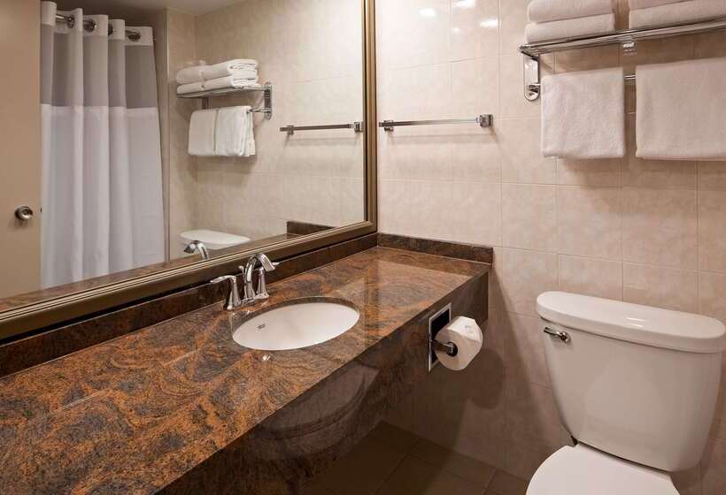 בית מלון כפרי Best Western Plus Ottawa City Centre