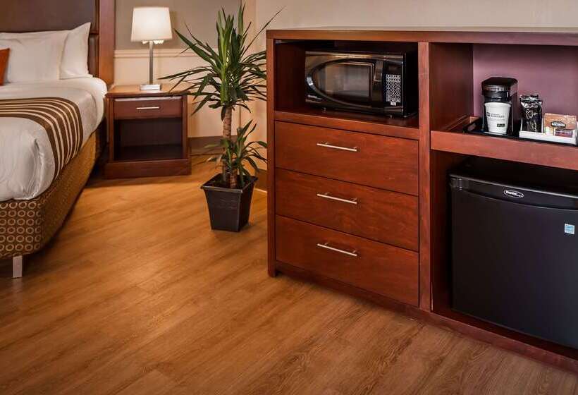 בית מלון כפרי Best Western Plus Ottawa City Centre