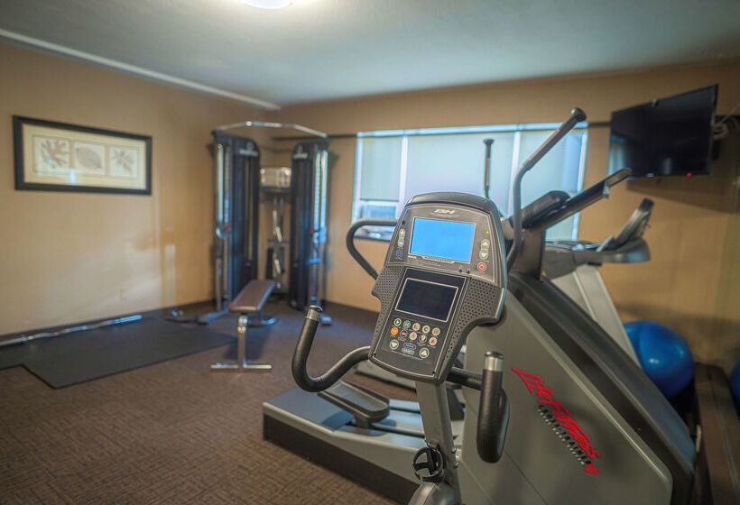 فندق Best Western Plus Sands