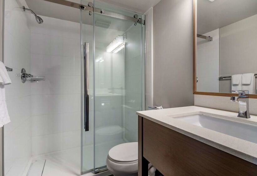 فندق Best Western Plus Vancouver Airport