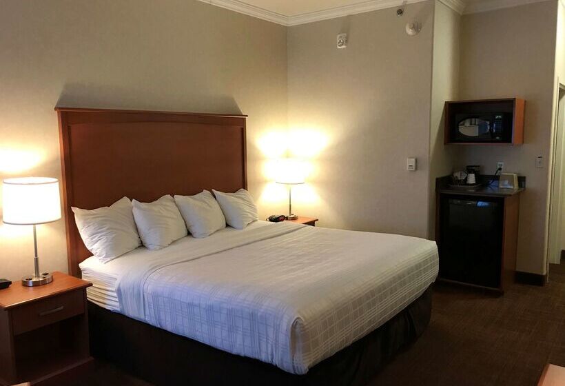 فندق Best Western Thunder Bay Crossroads